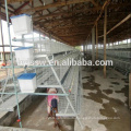 Gold Supplier Brazil Farm Equipment Chicken Cage